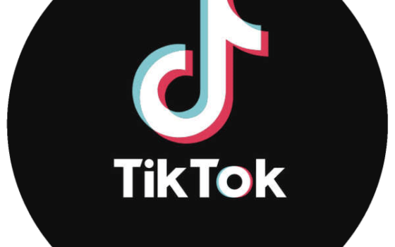 TikTok cursus in  november